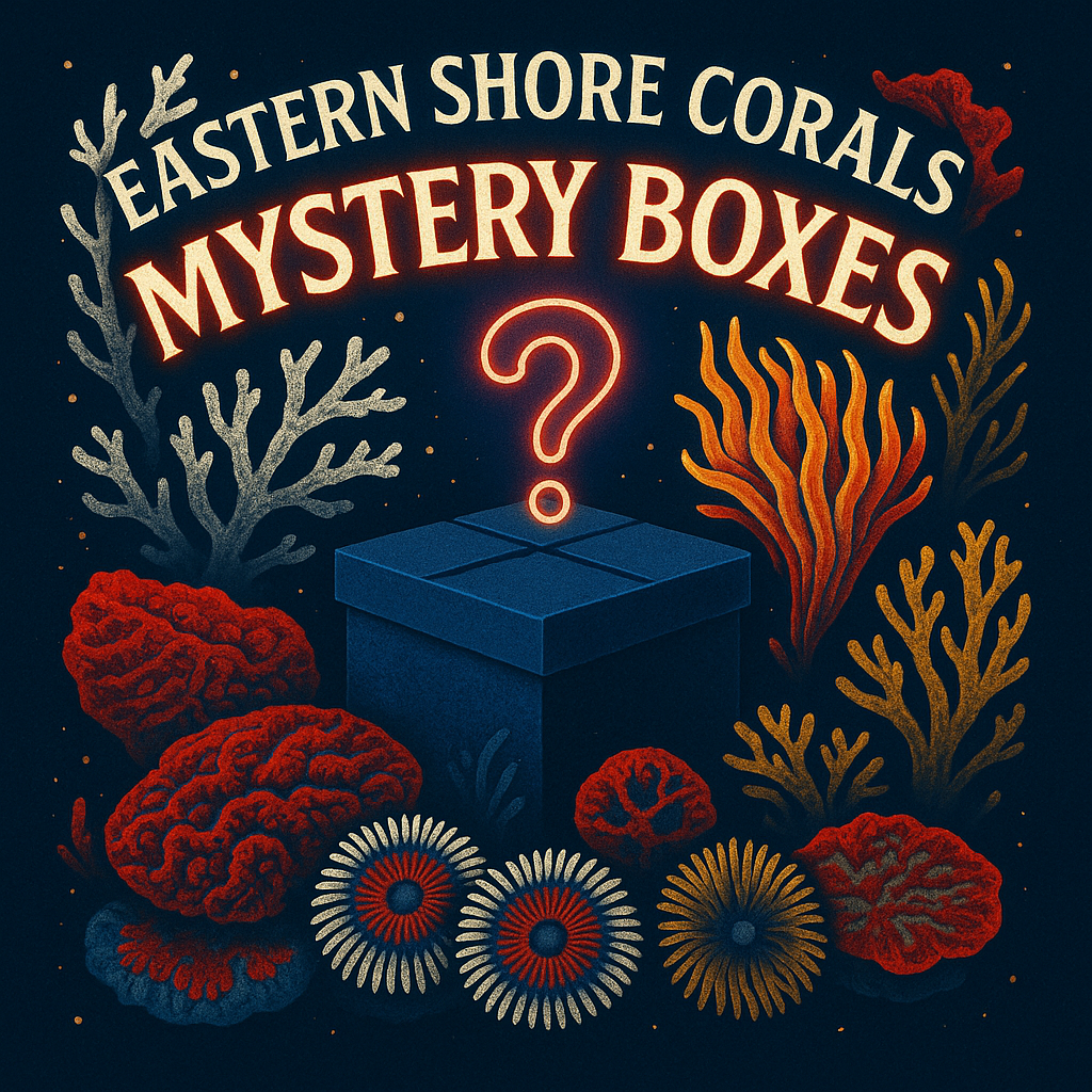 Mystery Boxes